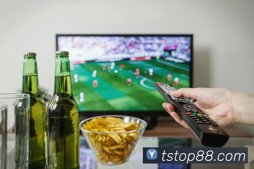 App Interface Preview